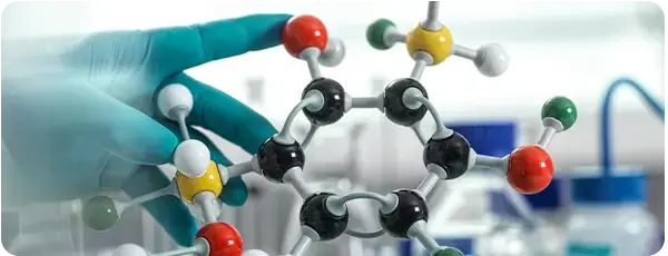 [SF]-Minicurso-boquimica