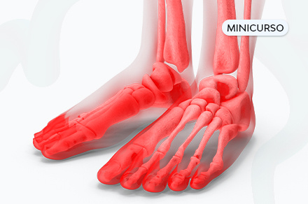 Anatomia-Membros-Inferiores