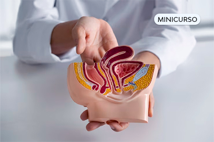 Fisiologia Renal