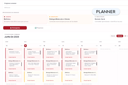 Planner personalizado