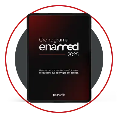 enamed-cronograma